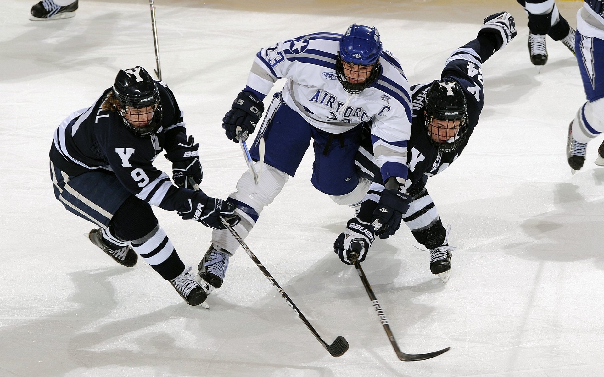 中国短道速滑世界杯多伦多站 男子500米高亭宇再度滑出33秒内佳绩夺金
