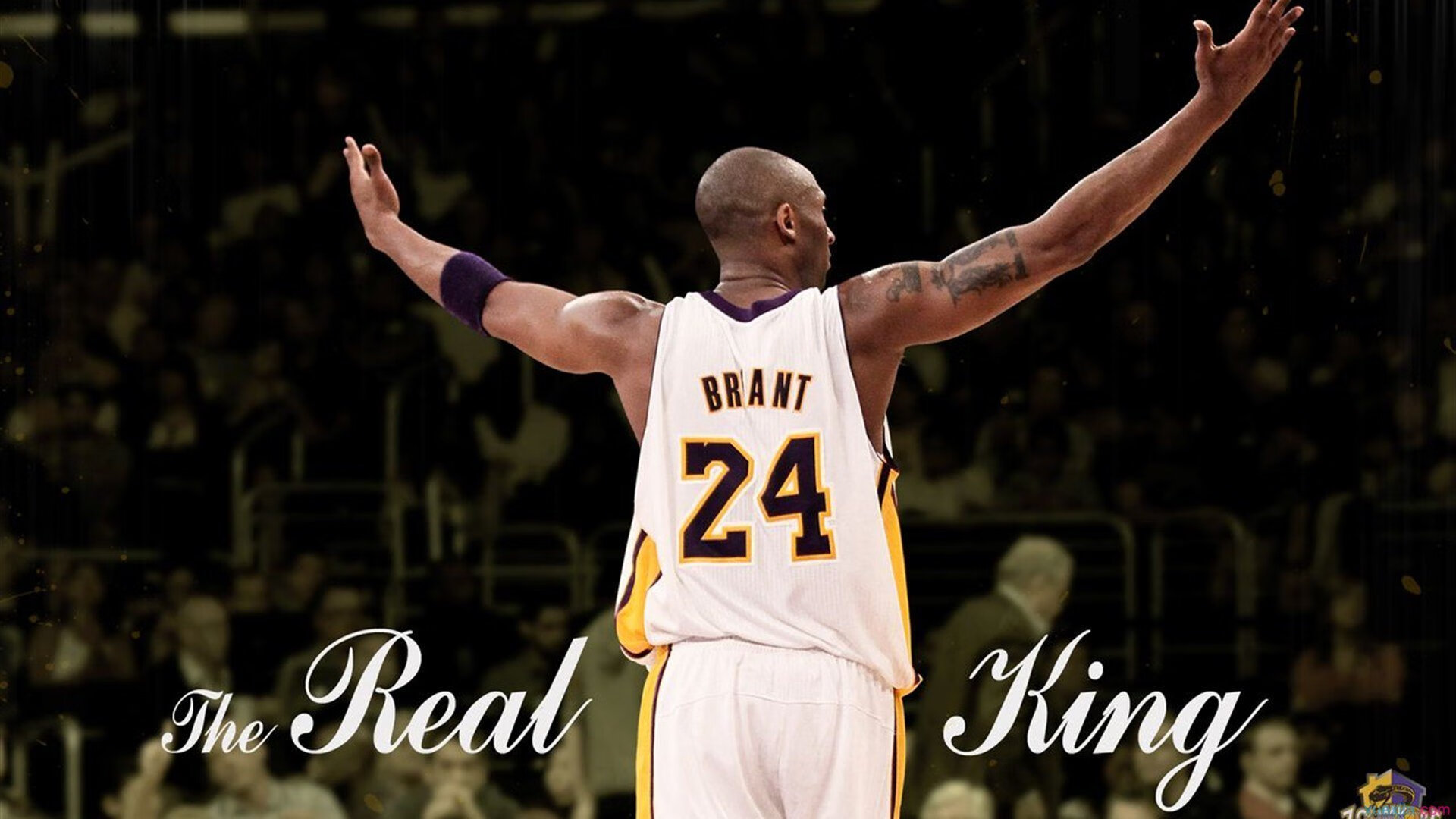 电竞成为年轻人最受欢迎运动，电竞可以作为青少年的出路